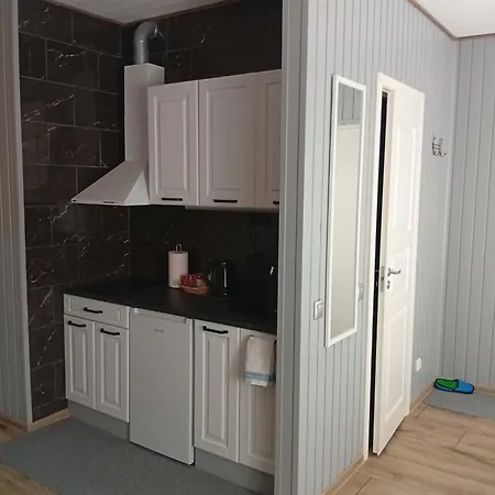 Apartment Tuleviku 3