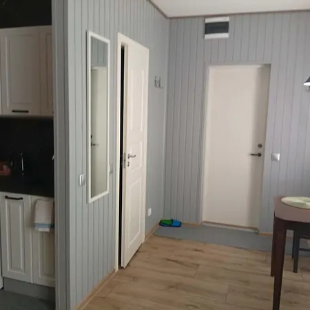 Apartment Tuleviku 3
